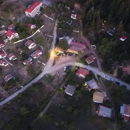 The Magic Mountain *