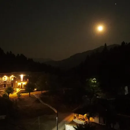The Magic Mountain