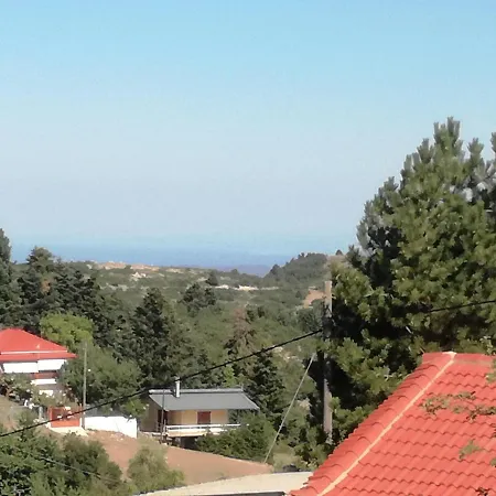 The Magic Mountain *