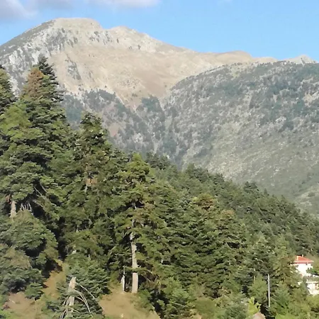 The Magic Mountain Πανσιόν