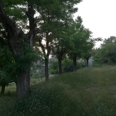 The Magic Mountain Tsapournia