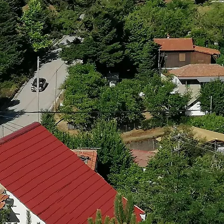 The Magic Mountain *