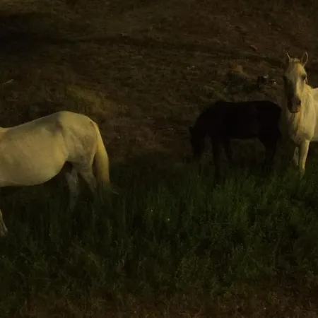 The Magic Mountain Pensjonat *