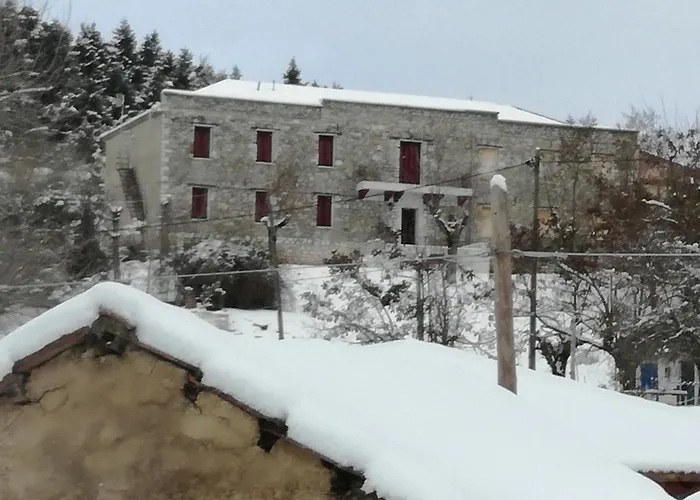 Affittacamere The Magic Mountain *