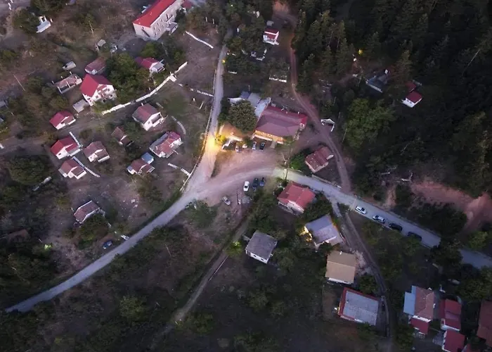 The Magic Mountain *