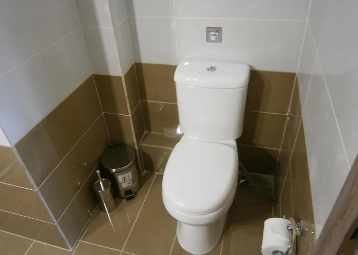 Affittacamere The Magic Mountain *