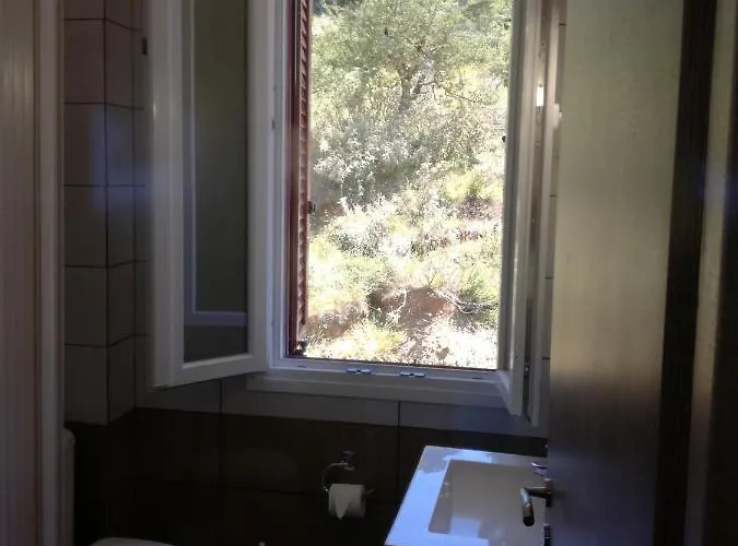 The Magic Mountain *