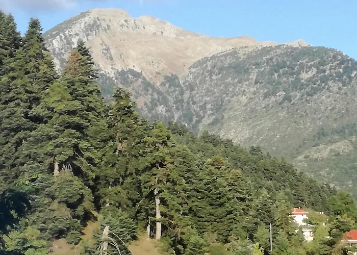 The Magic Mountain Affittacamere