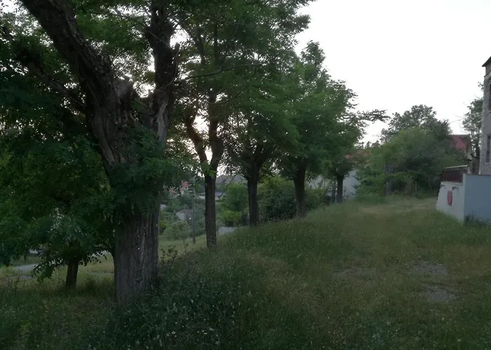 The Magic Mountain Tsapournia