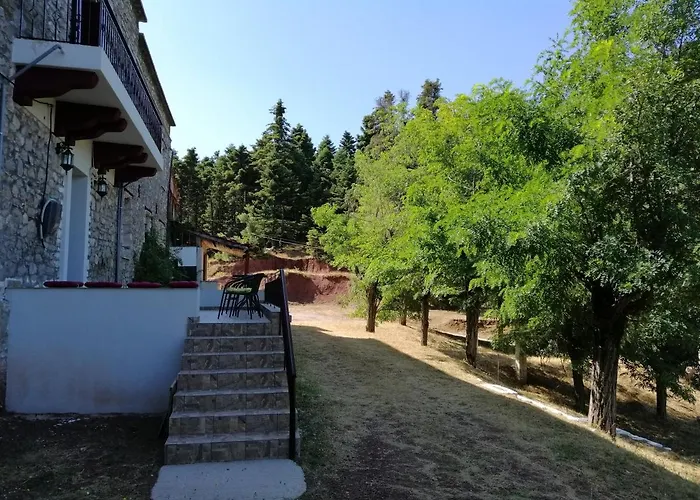 Affittacamere The Magic Mountain